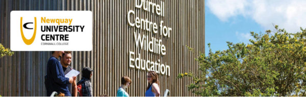 Study for a degree at Cornwall College Newquay