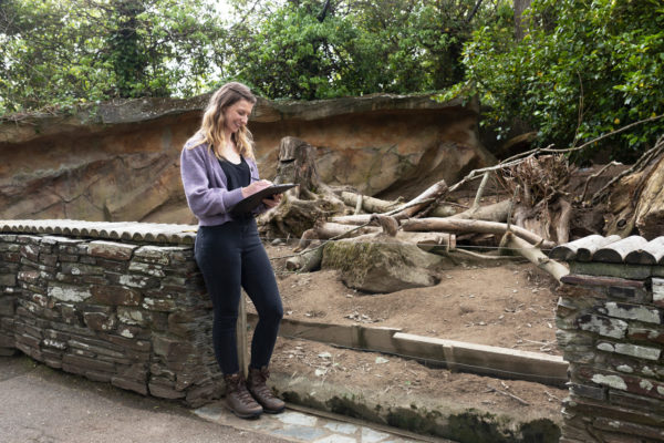Zoology students from Cornwall College working with Meerkats at Newquay Zoo